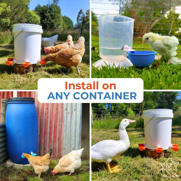 (5 Pack) Lil Clucker Large Automatic Chicken Waterer Cups | Chicken Water Feeder Suitable for Chicks, Duck, Goose, Turkey and Bunny | Poultry Water Feeder Kit (Orange)…