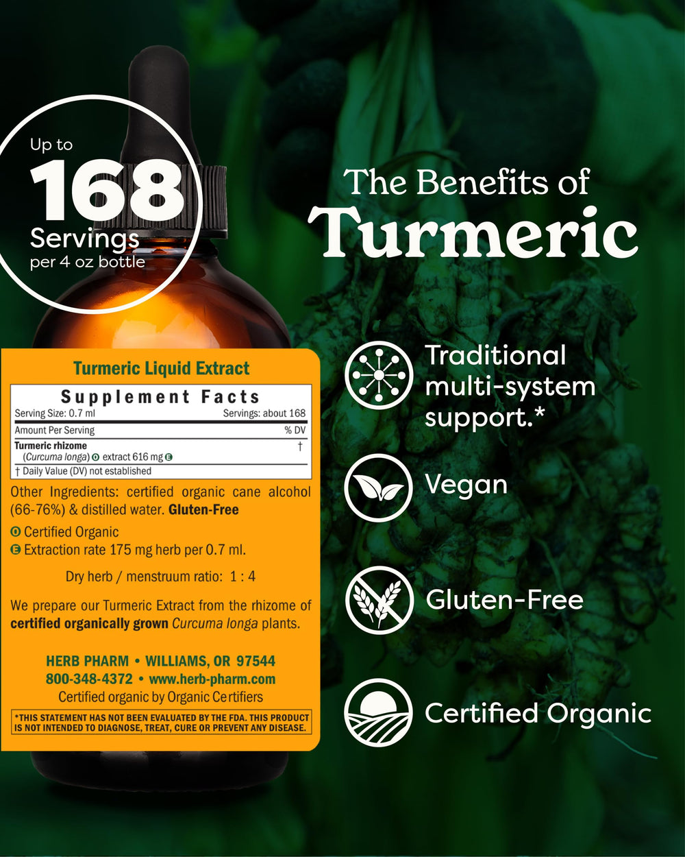 Certified Organic Turmeric Root Liquid Extract for Musculoskeletal System Support - 4 oz