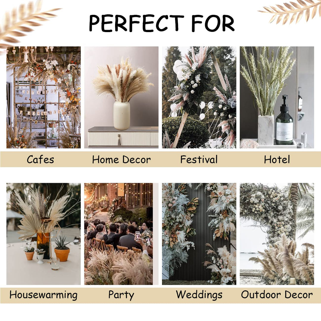 16.92 Dried White Pampas Grass 15 Pcs|Brown Dried Flower 15 Pcs|60 Pcs Natural Bunny Tails, Dried Flower for for Wedding Decoration &amp; Home Arrangement (80 Pcs)
