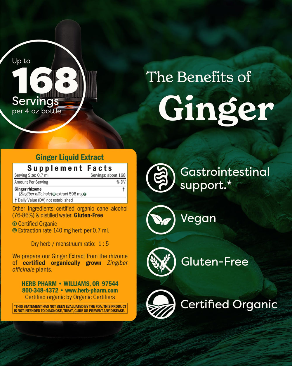 USDA Organic Ginger Root Extract*: Digestion & Circulatory Support | Ginger Tincture for Occasional Nausea | Non-Bitter Vegan Digestive Supplement | 4 Oz, Up to 3 Months Supply