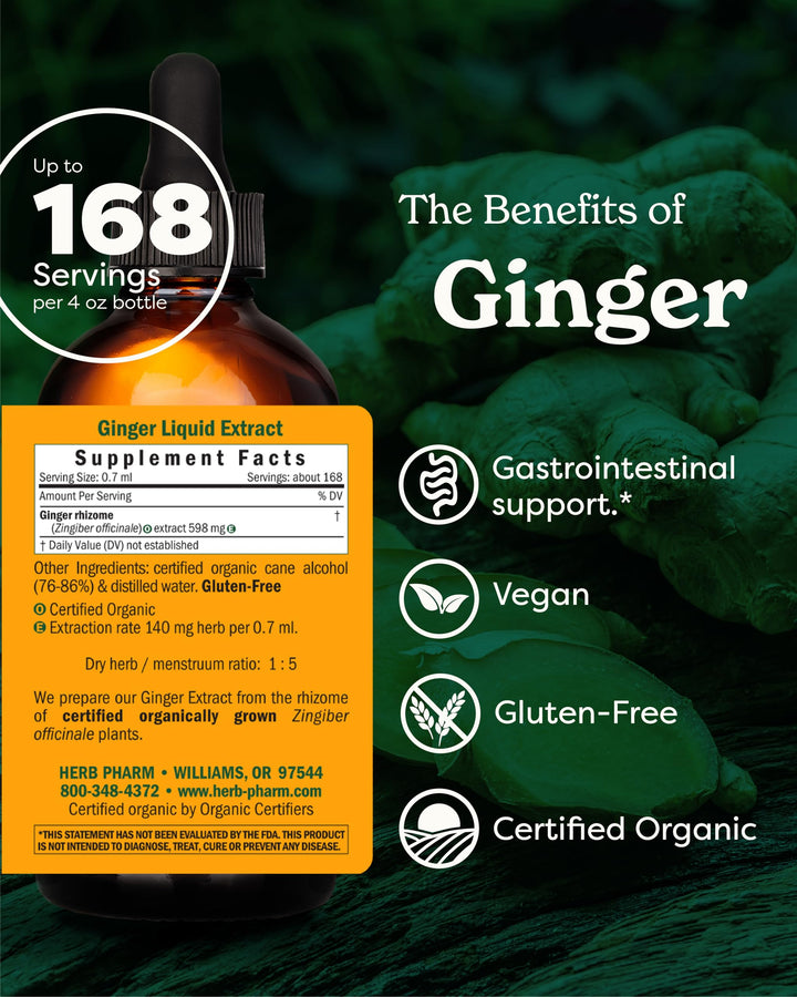 USDA Organic Ginger Root Extract*: Digestion &amp; Circulatory Support | Ginger Tincture for Occasional Nausea | Non-Bitter Vegan Digestive Supplement | 4 Oz, Up to 3 Months Supply