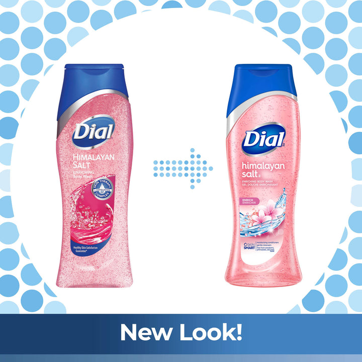 Dial Body Wash, Skin Therapy Himalayan Pink Salt & Water Lily, 16 Fluid Ounces