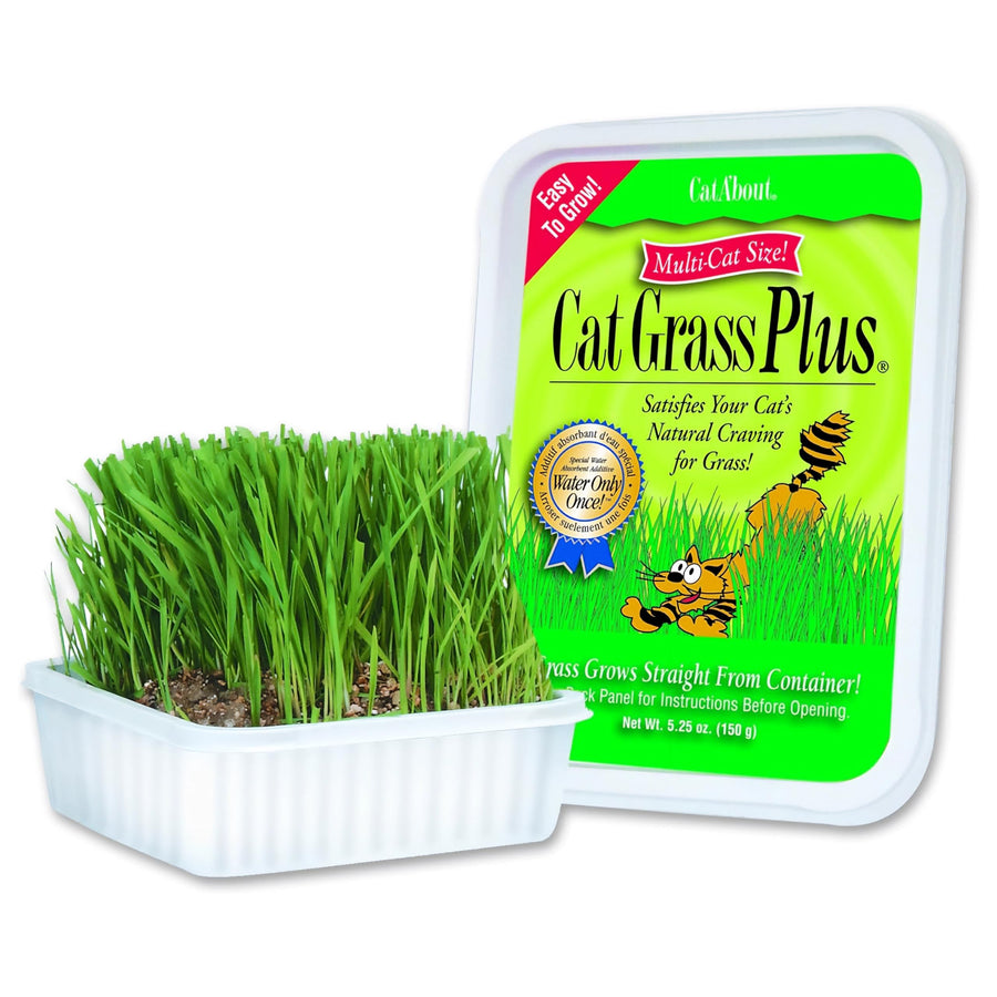 Cat-A'bout Cat Grass For Indoor Cats, 5.25 oz, Cat Grass Growing kit for all cats, Cat Grass Growing Kit Includes Potting Mix, Seeds, and Container