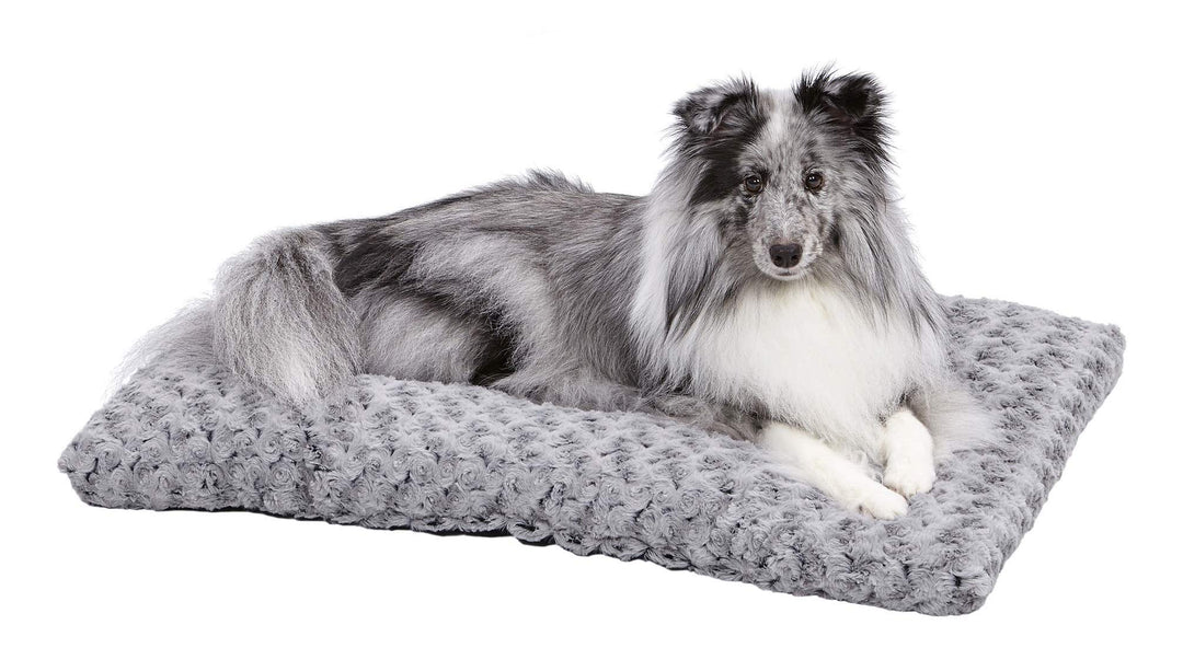 Midwest Homes for Pets Plush Dog Bed | Ombre Swirl Dog Bed &amp; Cat Bed | Gray 29L x 21W x 2H Inches for Medium Dog Breeds, 30-Inch, Model:40630-SGB