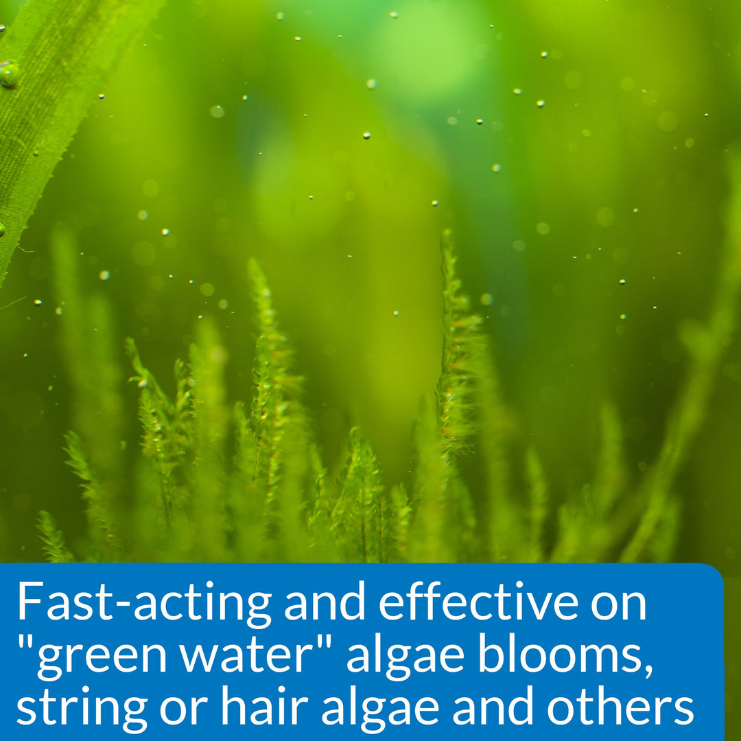 API ALGAEFIX Algae Control 4-Ounce Bottle, Multi-colored