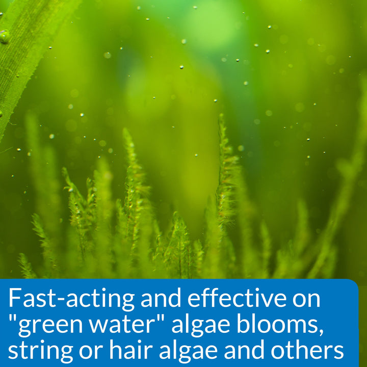 API ALGAEFIX Algae Control 4-Ounce Bottle, Multi-colored