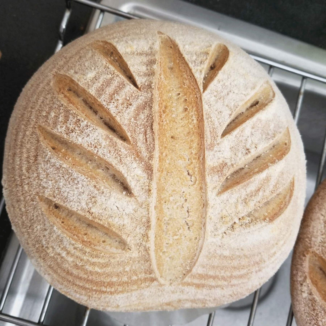 Bread Lame, Stainless Steel Bread Scoring Tool with 10 Blades