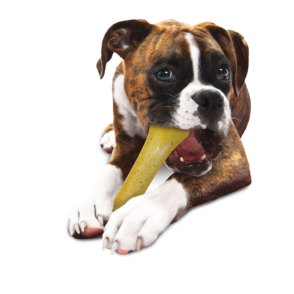 Knuckle Bone Flexi Chew Toy for Dogs, Flexible Dog Toys for Moderate & Gentle Chewers, Chicken Flavor, X-Large - 50+ lbs, 1 Count
