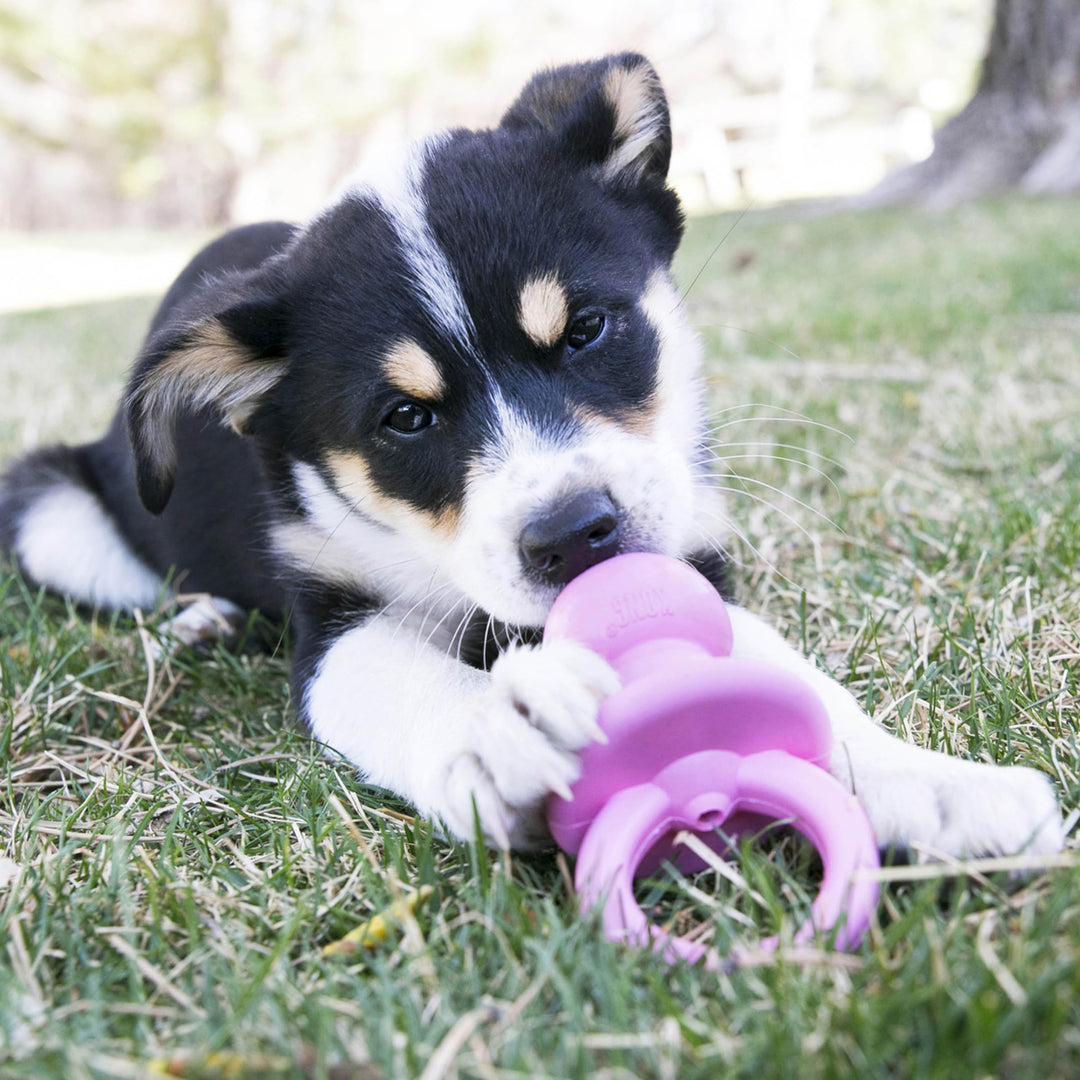 Puppy Binkie - Pacifier Dog Toy for Puppies - Stuffable Treat Chew Toy for Treats - Durable Natural Rubber for Teething Puppy - for Small Puppies - Blue