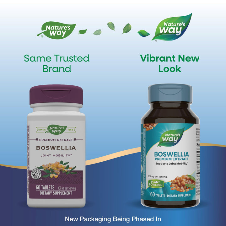 Nature&#39;s Way Boswellia Premium Extract, Support
