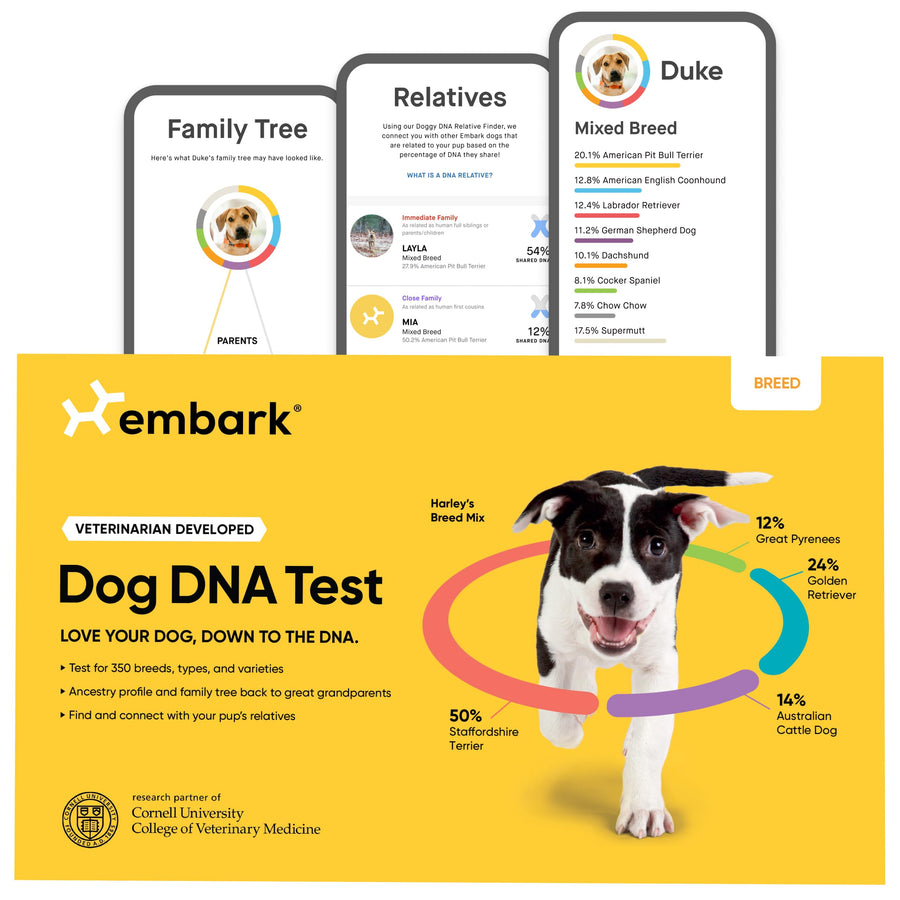 Breed Identification Kit - Most Accurate Dog DNA Testing Kit - 99% Breed Ancestry Accuracy for Mixed Breed Dogs - Plus Relative Finder & Family Tree