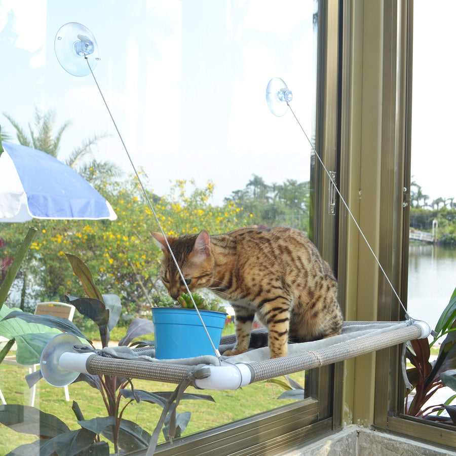Mess-Free Cat Window Perch, Multi-Point Secure Fastening Cat Window Hammock with 4 Strong Scution Cups, Premium Reinforced Material and Flannel Cover Cat Hammock for Large Cats in Beige