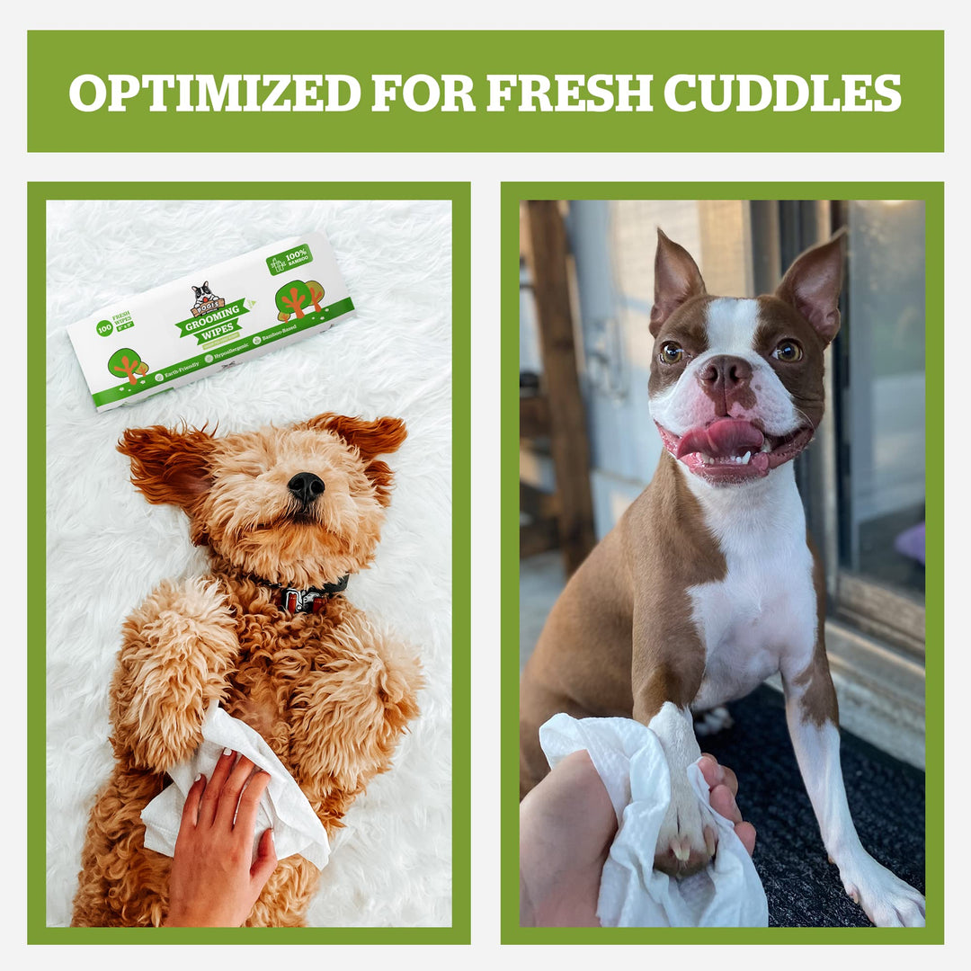 Pogi&#39;s Dog Grooming Wipes - 100 Dog Wipes for Cleaning and Deodorizing - Plant-Based, Hypoallergenic Pet Wipes for Dogs, Puppy Wipes - Quick Bath Dog Wipes for Paws, Butt, &amp; Body - Green Tea Scented