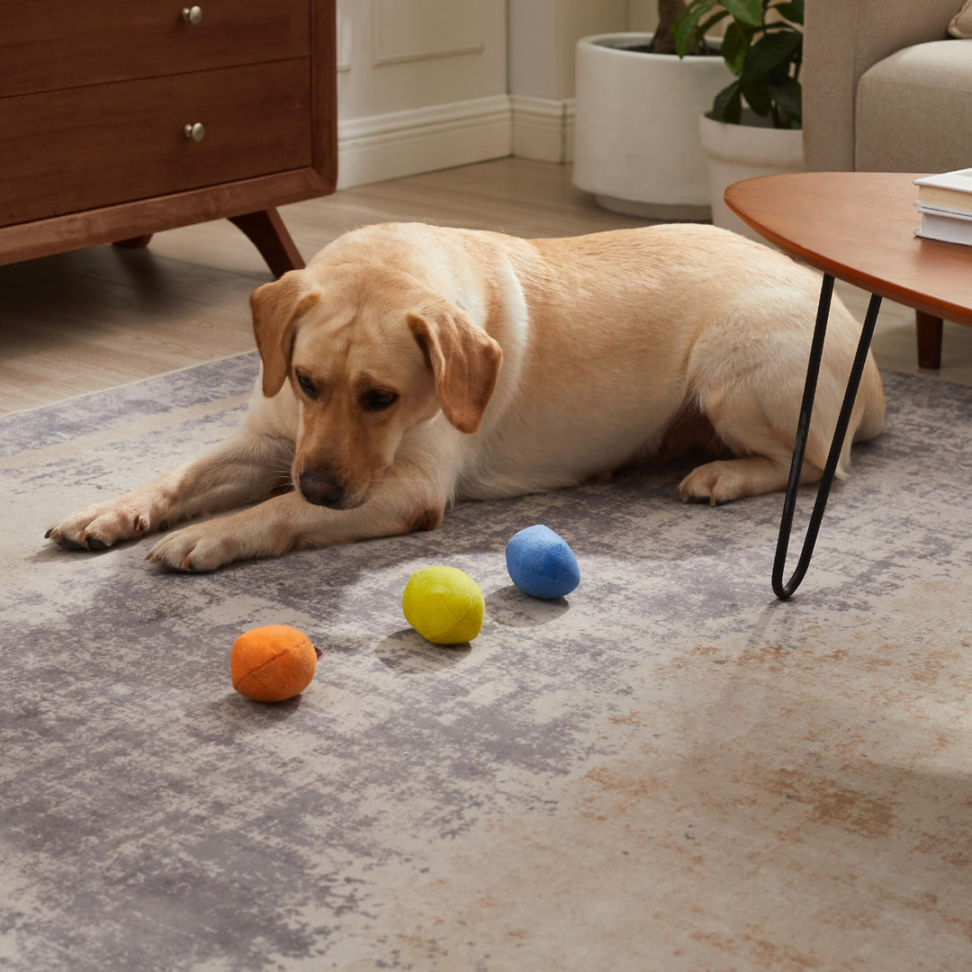 Squeakin&#39; Eggs Plush Replacement Dog Toys - 3 Pack