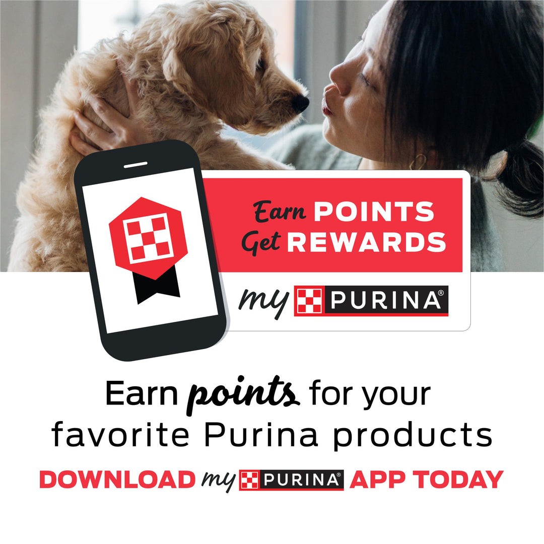 Purina Beyond Grain Free, Natural Dry Cat Food, Simply 