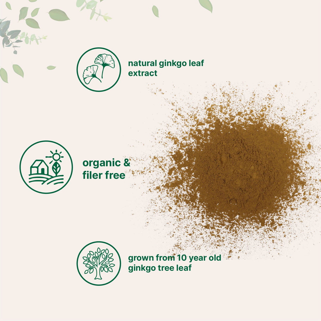 Raw Organic Ginkgo Biloba Powder, 8 Ounce (18 Months Supply), Filler Free, Supports Brain Function and Mental Alertness, No GMOs and Vegan Friendly