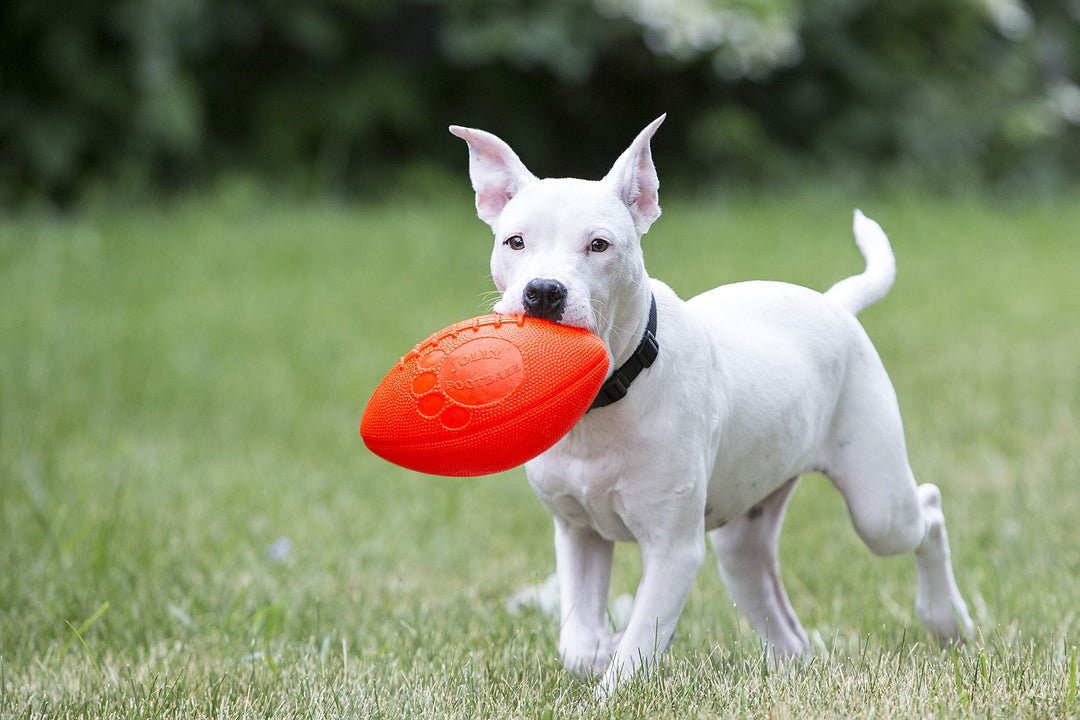 Football Dog Toy, 8 Inches, Orange