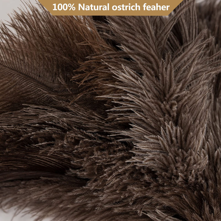 Aldwin Ostrich Feather Duster, 16 inch Ostrich Feather 