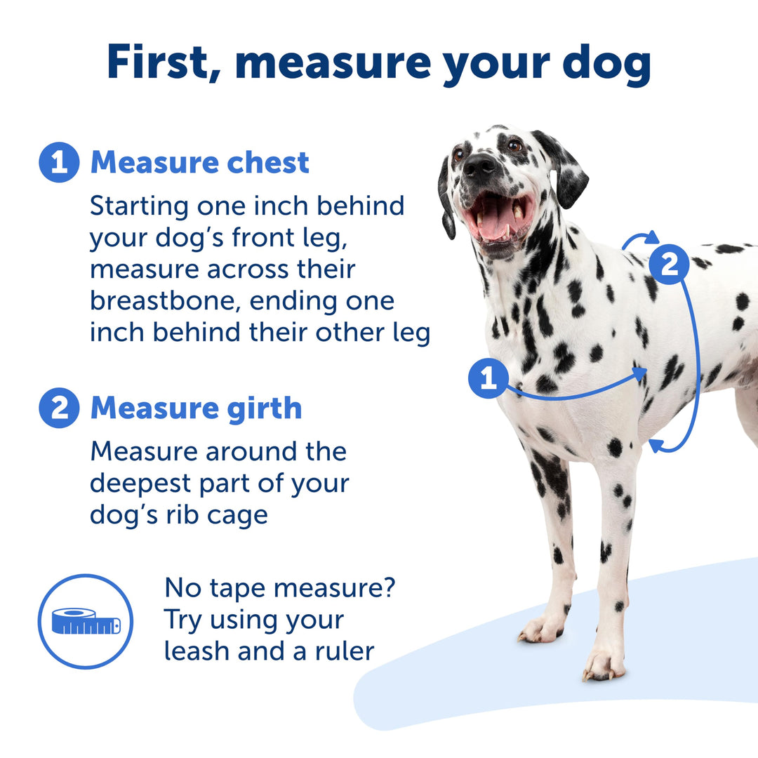 Easy Walk No-Pull Dog Harness - The Ultimate Harness to Help Stop Pulling - Take Control &amp; Teach Better Leash Manners - Helps Prevent Pets Pulling on Walks, Small, Royal Blue/Navy Blue