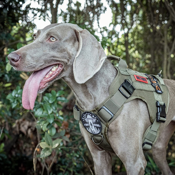 Tactical Dog Harness Vest with Handle, Military Dog Harness for Large Medium Dogs,FIRE Watcher 2.0 No-Pull Service Dog Vest,Adjustable Dog Vest Harness for Walking Hiking Training(L,Green)