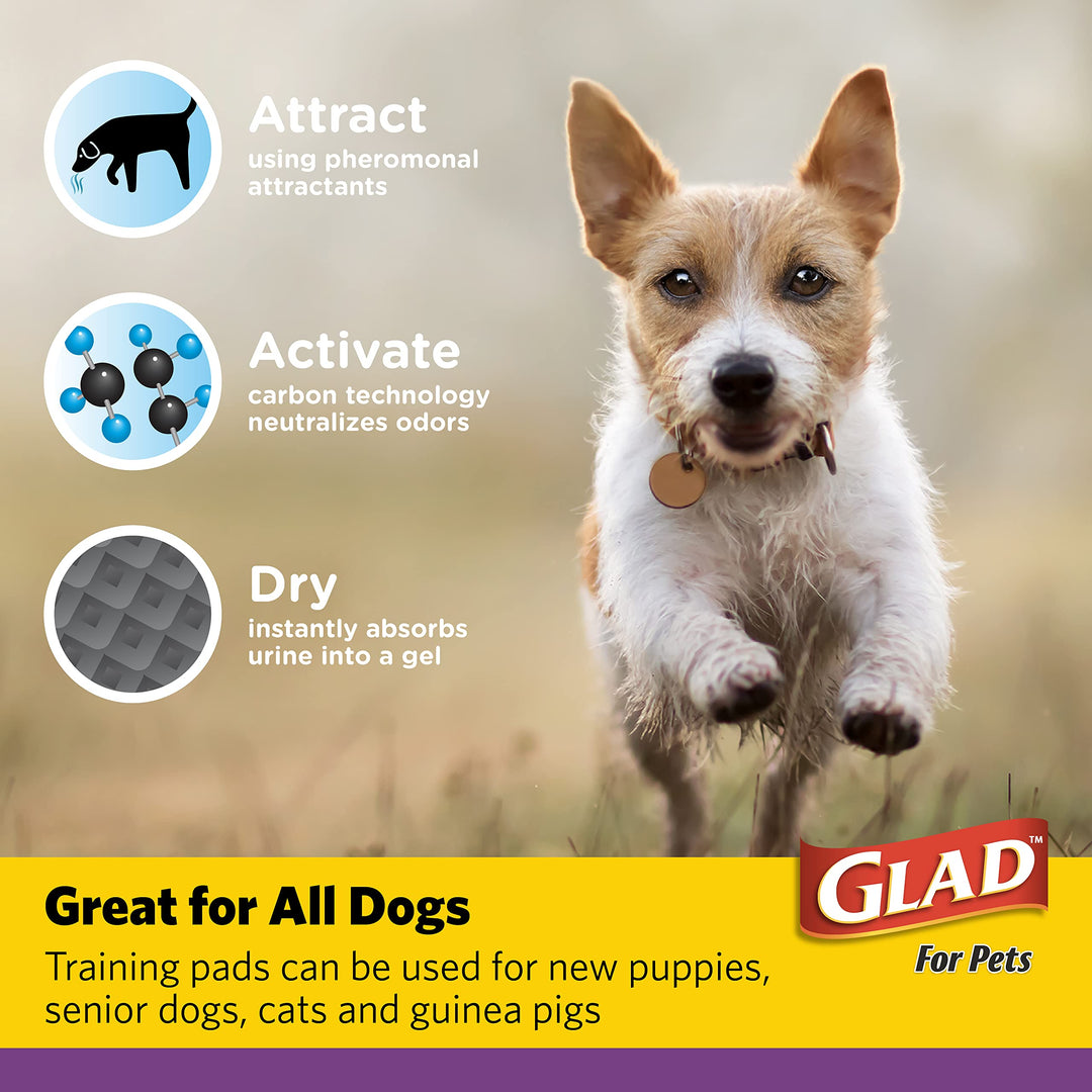 Glad for Pets Extra Large Charcoal Dog Training Pads - 