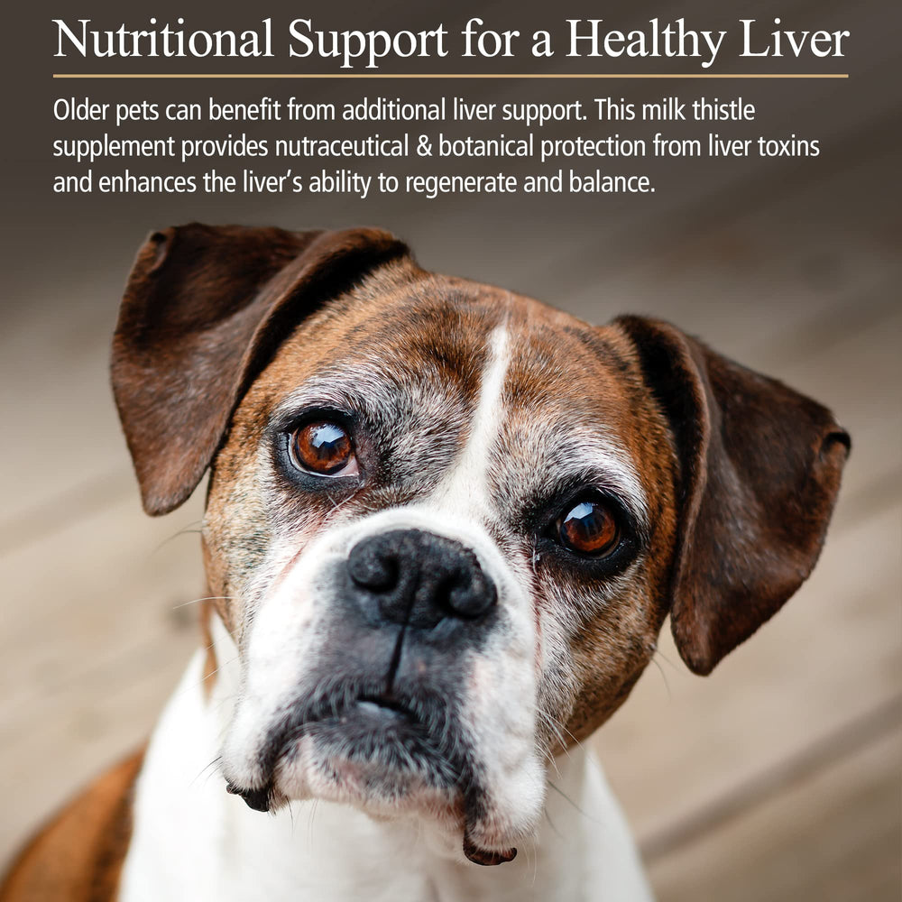 Hepato Support for Dogs & Cats - Milk Thistle Supplement for Pets - 100mg Milk Thistle for Healthy Liver Function - Silymarin Capsules for Pets - 180 ct.