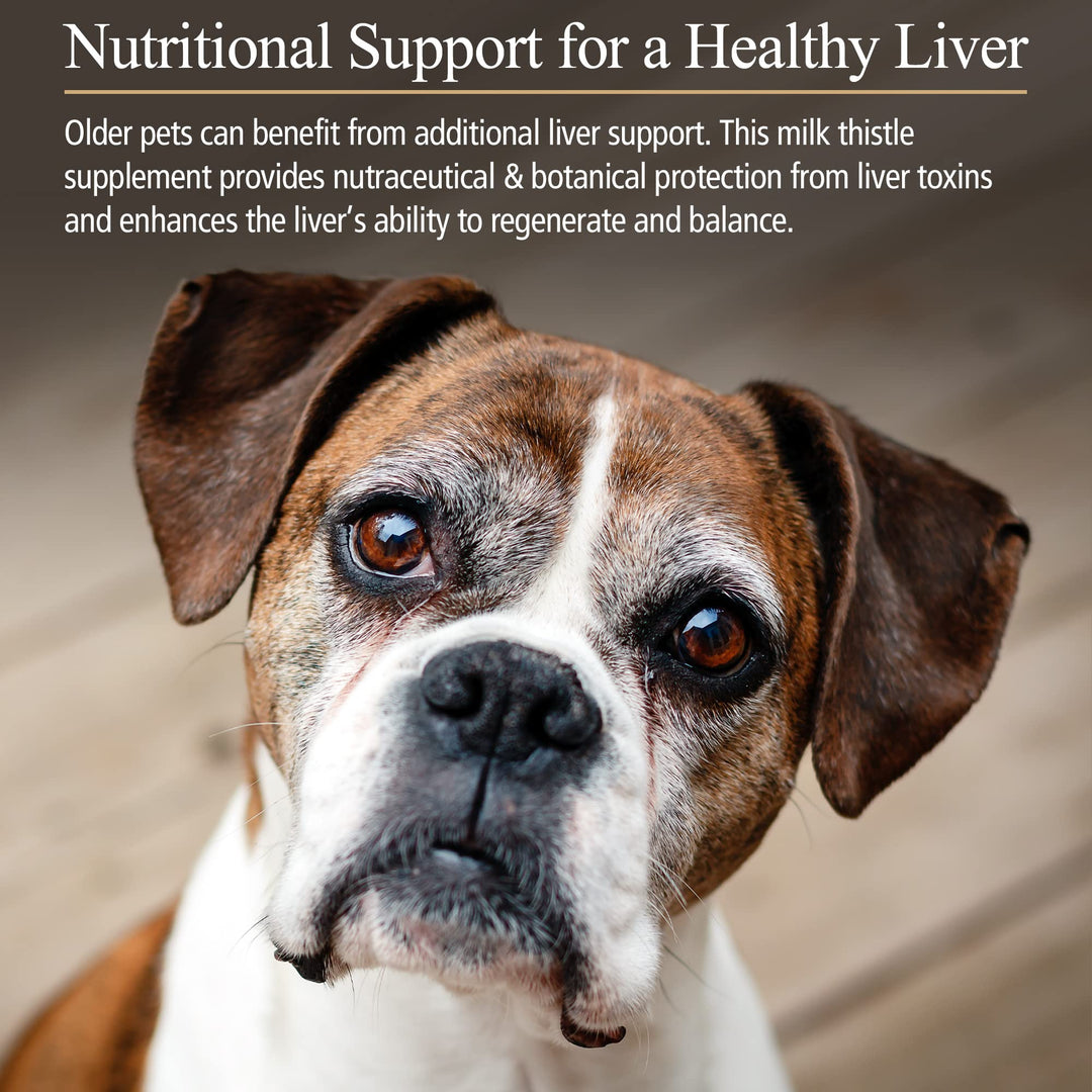 Hepato Support for Dogs &amp; Cats - Milk Thistle Supplement for Pets - 100mg Milk Thistle for Healthy Liver Function - Silymarin Capsules for Pets - 180 ct.