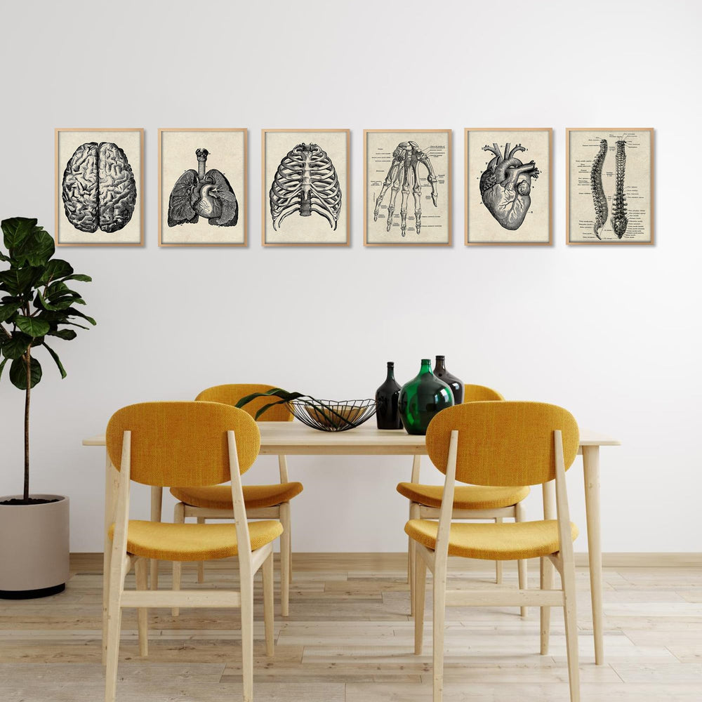 Human Anatomy Artwork Medical Wall Picture Muscle Skeleton Vintage Poster Nordic Canvas Print Education Painting Modern Decor 8”X10” (unframed)