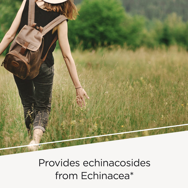 - EHB (Echinacosides, Hydrastine, Berberine) - Immune Supporting Nutrients* - 60 Capsules