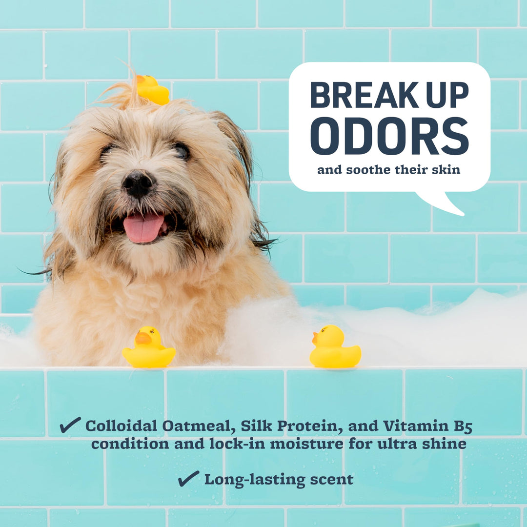 Smart Coat Complex Soothing and Deodorizing Oatmeal Shampoo for Dogs, 17 Fl oz – Baking Soda Eliminates Odors, Aloe Vera &amp; Oatmeal Cleanse and Hydrate Skin – Long-Lasting Fragrance