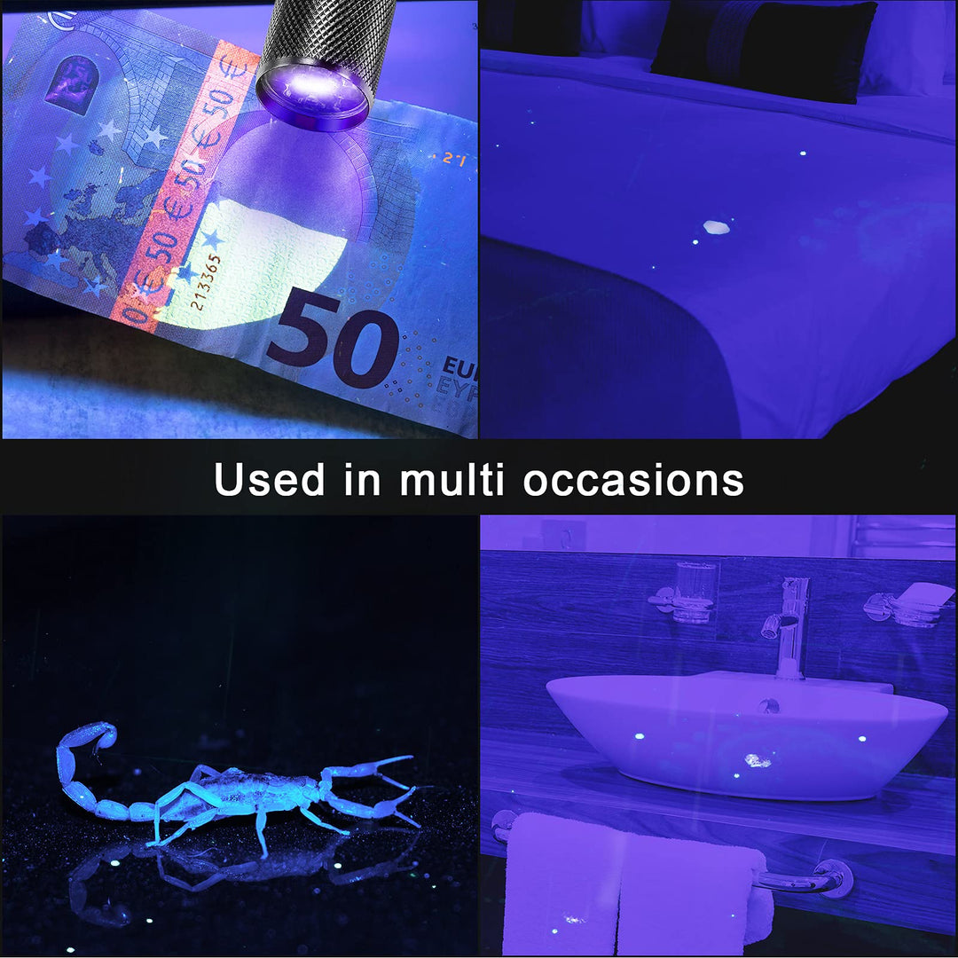 10 Pieces UV Blacklight Flashlights, LED Light, Handheld, Mini Light Torch Detector, Portable UV Flashlight Torch for Pets Stains Urine (Purple Light)