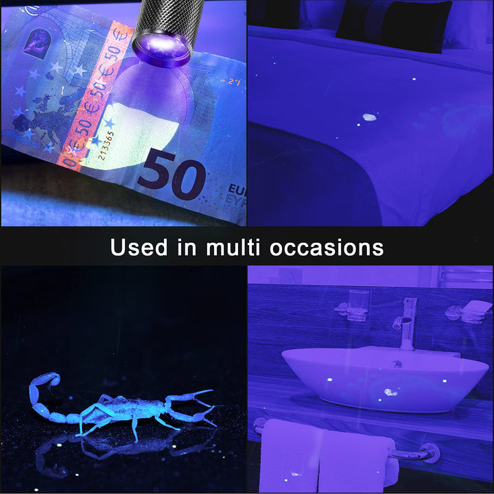 10 Pieces UV Blacklight Flashlights, LED Light, Handheld, Mini Light Torch Detector, Portable UV Flashlight Torch for Pets Stains Urine (Purple Light)