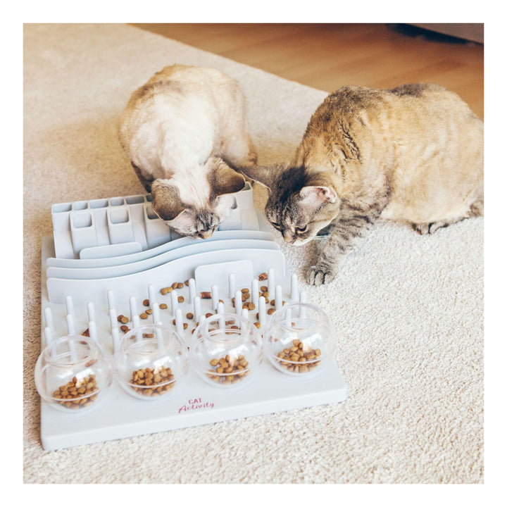 Fun Board Strategy Game for Cats, Puzzle Toy, Treat Dispenser, Interactive Play, Mental Stimulation