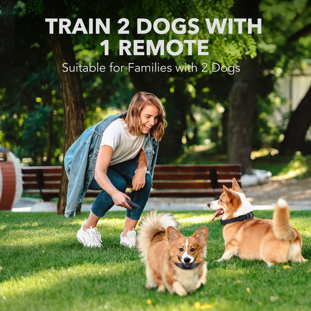 Dog Training Collar with Remote - Rechargeable Training Collar for Small Medium Large Dogs with Beep, Vibration, and Shock Training Modes, Rainproof E-Collar with Security Lock