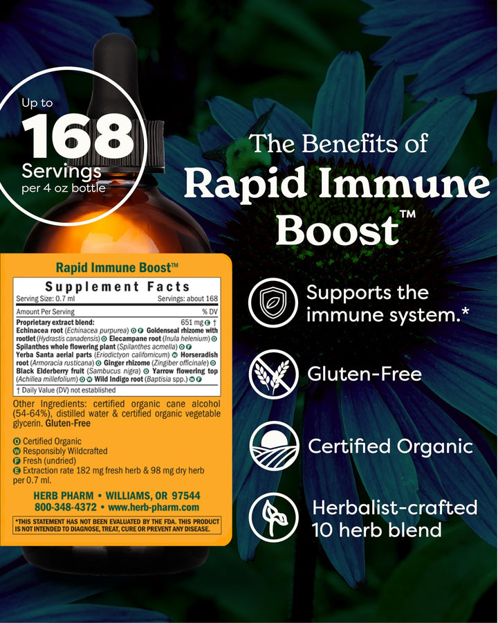 Organic Rapid Immune Boost: Fast-Absorbing Tincture for Adults, Echinacea Tincture with Goldenseal, Ginger Extract &amp; Elderberry, Immune Support Supplement &amp; Wellness Aid, 4 Oz