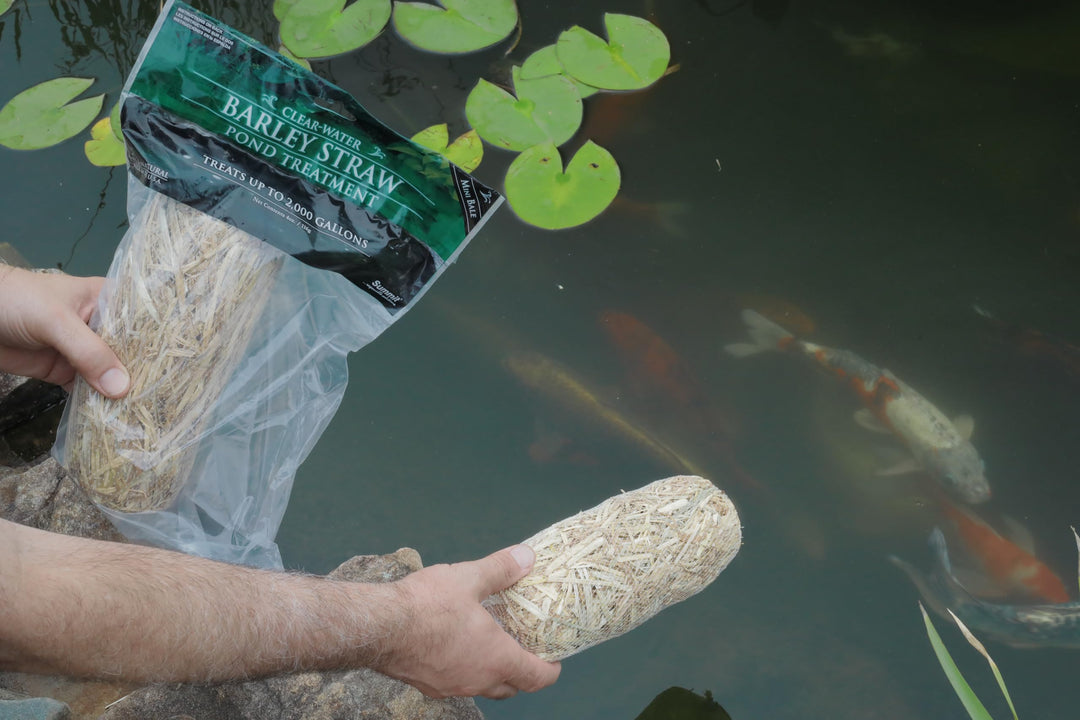 Clear-Water Barley Straw Pond Treatment, 2-Pack, Treats upto 2000 Gallons, 1000 Gallons per Bale