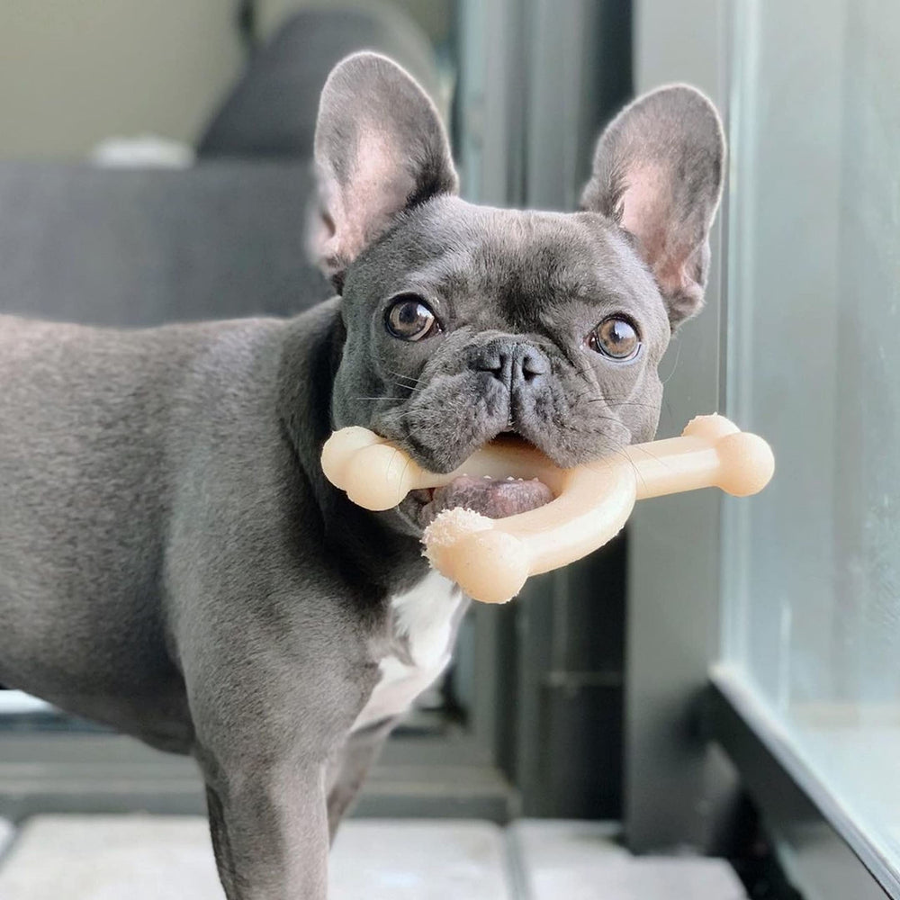 Original Wishbone Power Chew Toy for Dogs, Dog Toys for Aggressive Chewers, Original Flavor, Medium - Up to 35 lbs, 1 Count