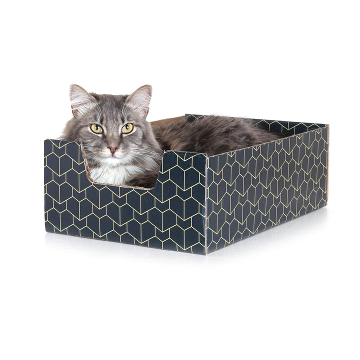 Lounger with Peek-a-Boo Cutout | Premium Corrugated Cardboard Cat Bed for Relaxation | Interactive Cat Box for Indoor Cats, Blue