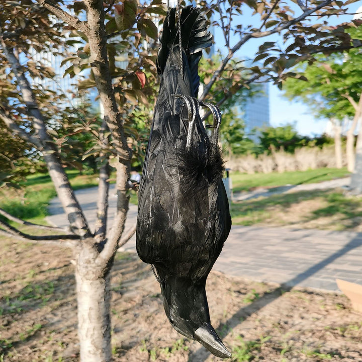 17'' Realistic Hanging Crows Realistic Crows Lifesize Extra Large Handmade Black Feathered Crow