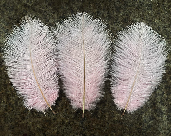 Lampu Ostrich Feathers 8-10 inch/20-25cm for Wedding Centerpieces Home Decoration Pack of 10 (Light Pink)