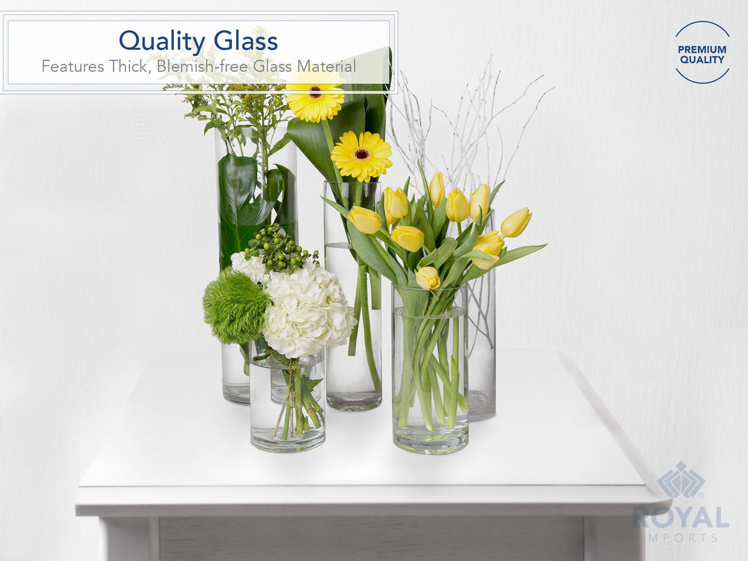 Flower Glass Vase Decorative Centerpiece for Home or Wedding - Cylinder Shape (4 wide x 12 tall, Clear)