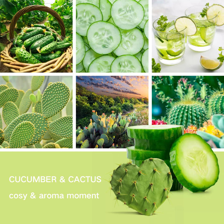 Wax Melts Wax Cubes, Scented Wax Melts Candle Warmer Wax Melts, Natural Soy Wax Melts Wax Cubes for Wax Warmer Set, Cucumber &amp; Cactus Scent Wax Cubes (2.5oz/70.9g*2)