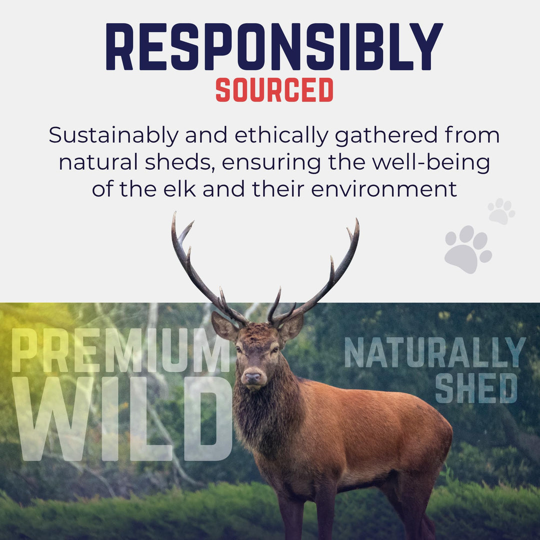 . Elk Antlers for Dogs, Large 6+, 1 Pack, Grade A Long Lasting Chew for Aggressive Chewers, Premium USA Naturally Shed Antler – Healthy, No Odor, Durable Dog Chew