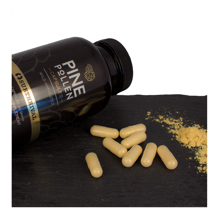 : Pine Pollen Powder Capsules (180 Count), Wild Harvested, Energy &amp; Endurance Restoration