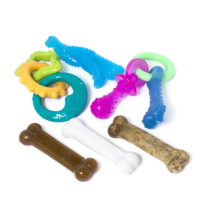 New Puppy Starter Kit, 5 Chew Toys and 1 Natural Treat for Puppies, Multi Color, Bacon & Chicken Flavor, Small - Up to 25 lbs, 6 Pack