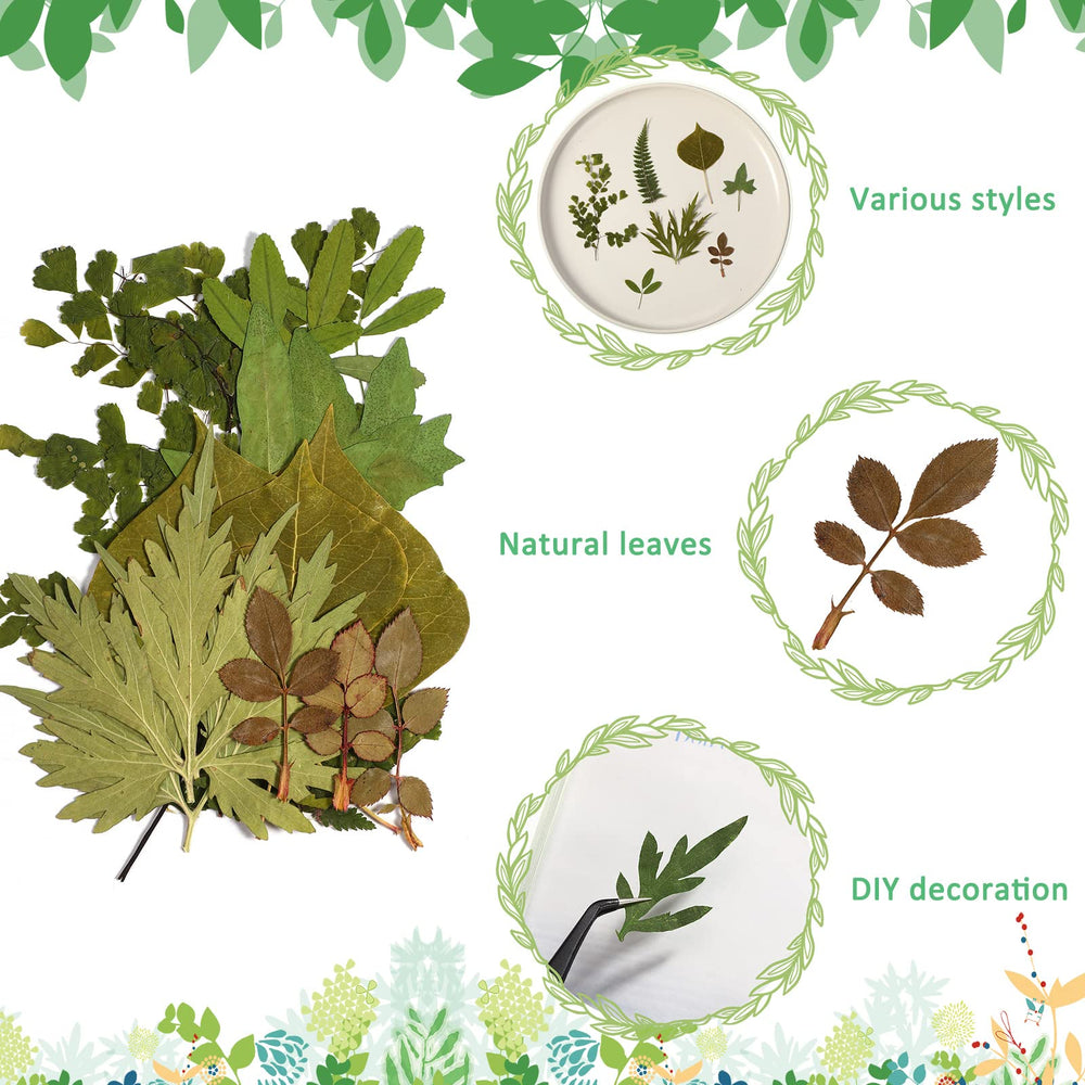 84 Pieces Dried Pressed Leaves Dried Flowers for Resin Dried Leaves for Resin Mini Dried Flowers for Crafts Dried Greenery Assorted for Art DIY Handmade Bookmarks 4 Bags(Classic Style)