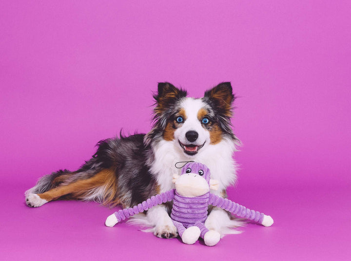 - Spencer The Crinkle Monkey Dog Toy, Squeaker and Crinkle Plush Toy - Purple, Small
