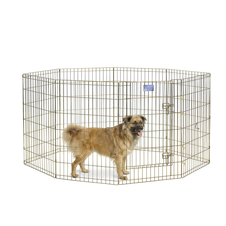 Dog Exercise Pen &amp; Playpen, 24 W x 36 H, Step-Thru Door, Gold Zinc
