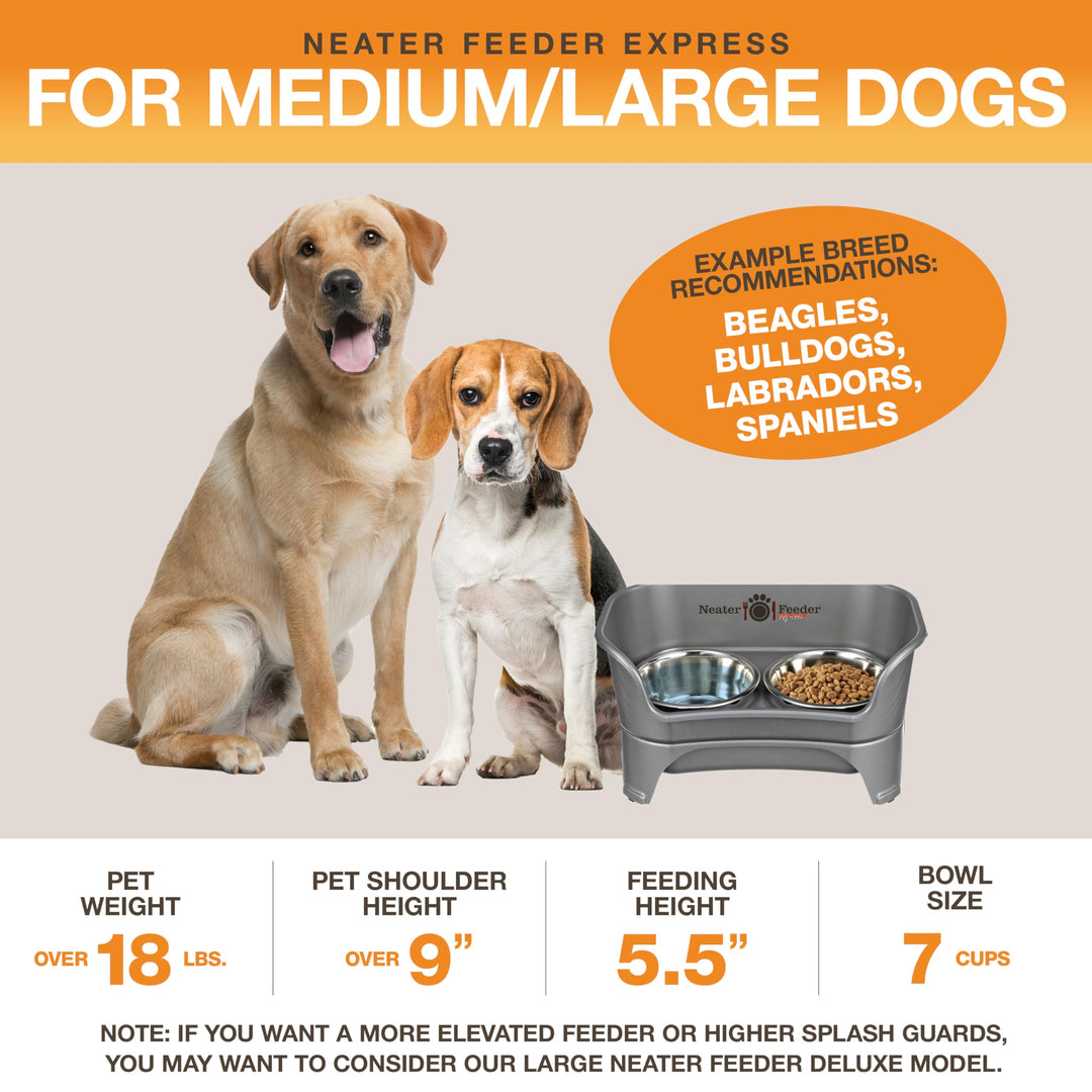 - Express Model - Mess-Proof Dog Bowls (Medium/Large, Gunmetal Grey) – Made in USA – Elevated, No Spill, Non-Tip, Non-Slip, Raised Stainless Steel Food &amp; Water Pet Bowls