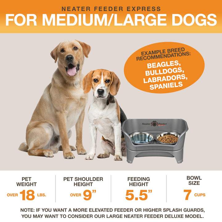 - Express Model - Mess-Proof Dog Bowls (Medium/Large, Gunmetal Grey) – Made in USA – Elevated, No Spill, Non-Tip, Non-Slip, Raised Stainless Steel Food &amp; Water Pet Bowls